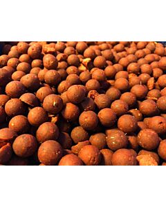 BULKDEAL 10KG | Nash Instant Action Hot Tuna Boilies 18mm